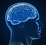 A.I. Brain Implant Translates Thoughts Into Spoken Words